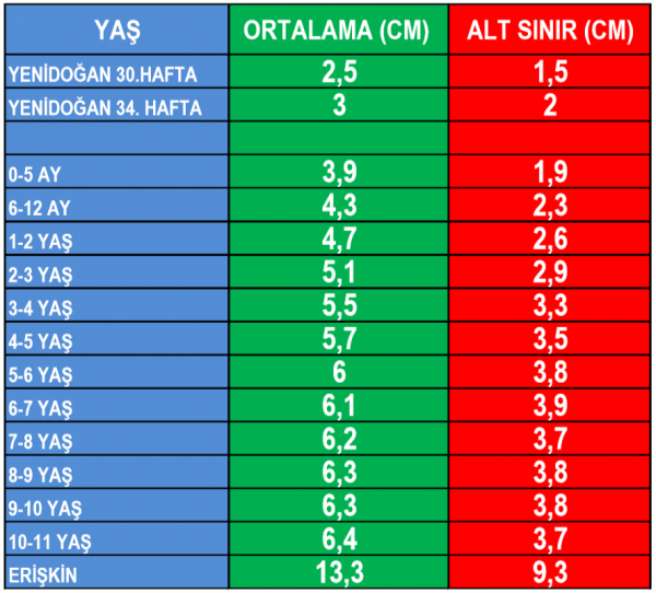 5 yaş çocuk boyu kaç olmalı